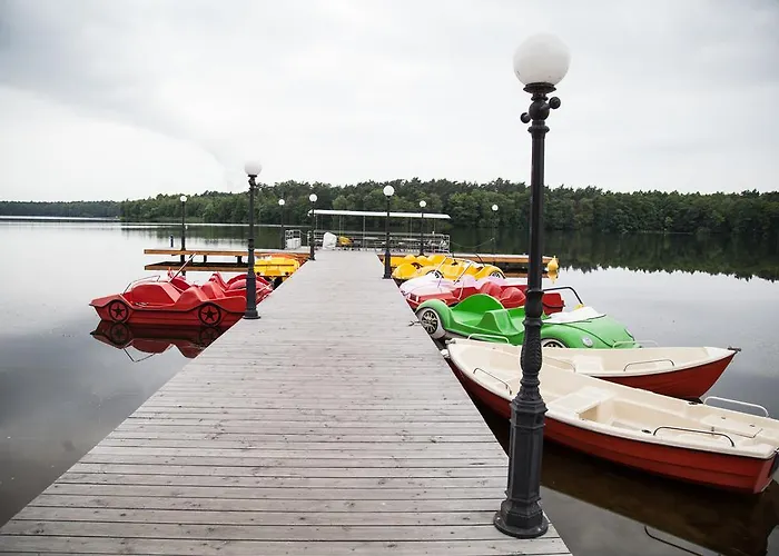 Stara Gorzelnia * Lichen Stary